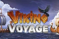 Viking Voyage