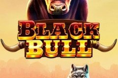 Black Bull